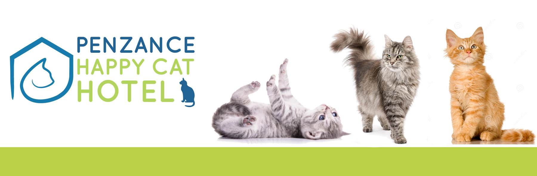 Penzance Happy Cat Hotel. Hout Bay